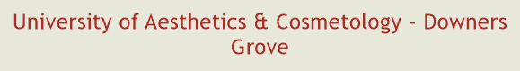 University of Aesthetics & Cosmetology - Downers Grove