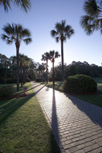 Valdosta State University image 5